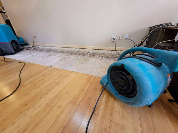 Reliable Basement Flood Cleanup contractor in Pinehurst, TX by Hirex Water Damage