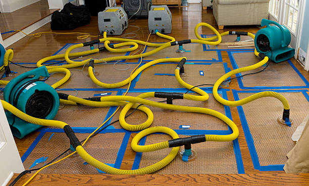 Professional Basement Flood Cleanup technician working in Pinehurst, TX